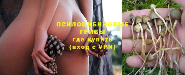Альфа ПВП Навашино
