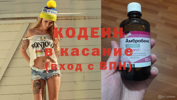 гашик Михайловск
