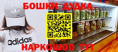 дживик Дубна
