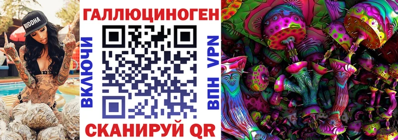 Галлюциногенные грибы прущие грибы  Стерлитамак 