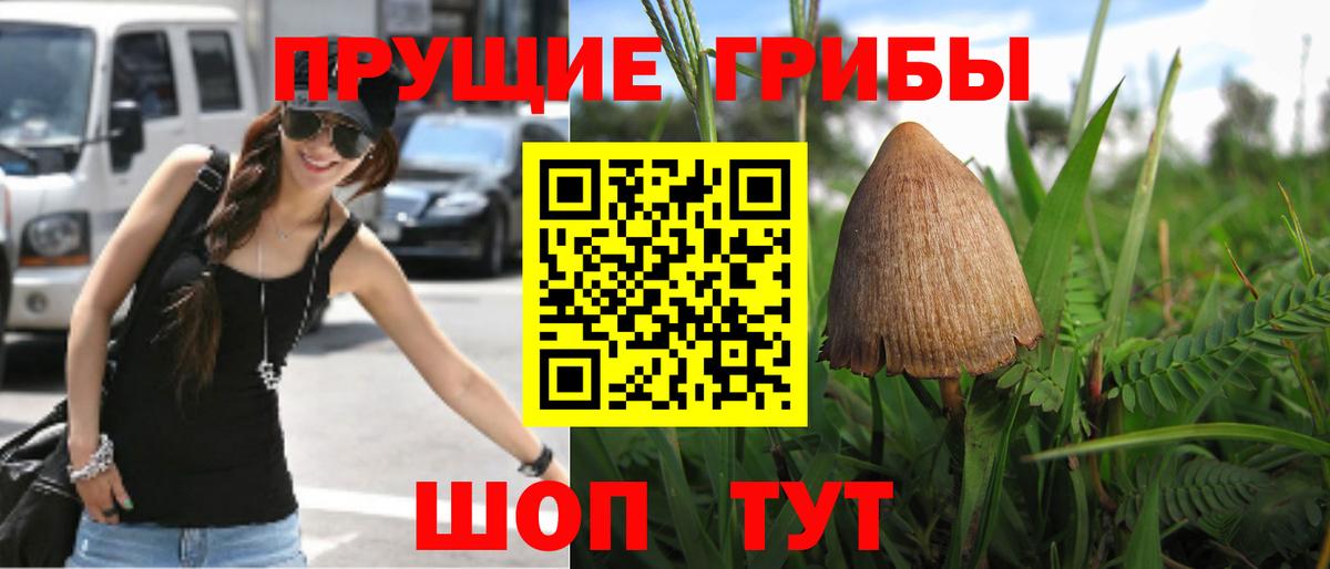 Галлюциногенные грибы мухоморы  Вход с VPN  Псилоцибиновые грибы мухоморы  Стерлитамак 